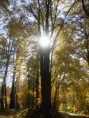 /album/fotogalerie/pa020479-jpg/